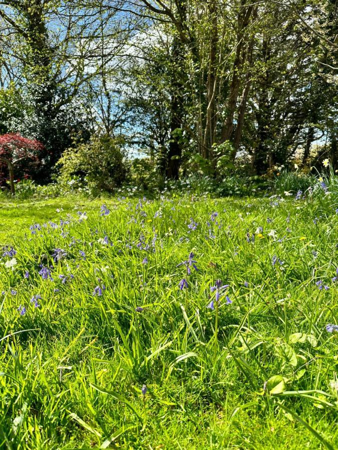 Peaceful Cottage With Private Garden Hailsham Exterior foto